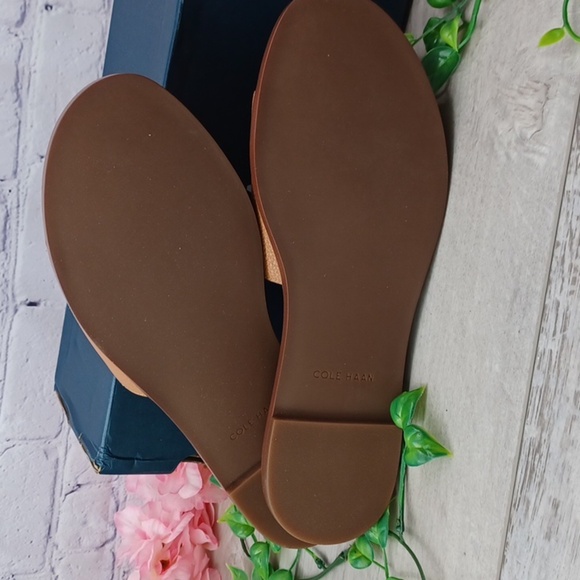 Cole Haan Flynn Logo Slide Sandal NIB - Picture 5 of 7